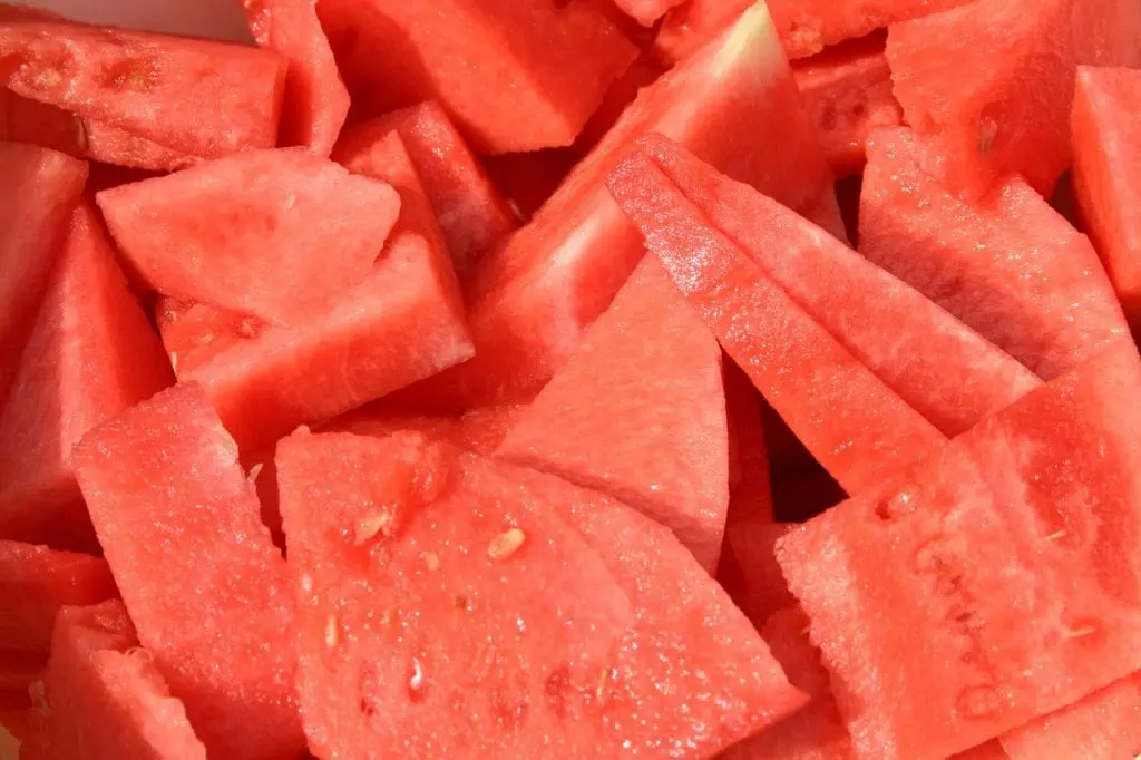 Origin of the watermelon