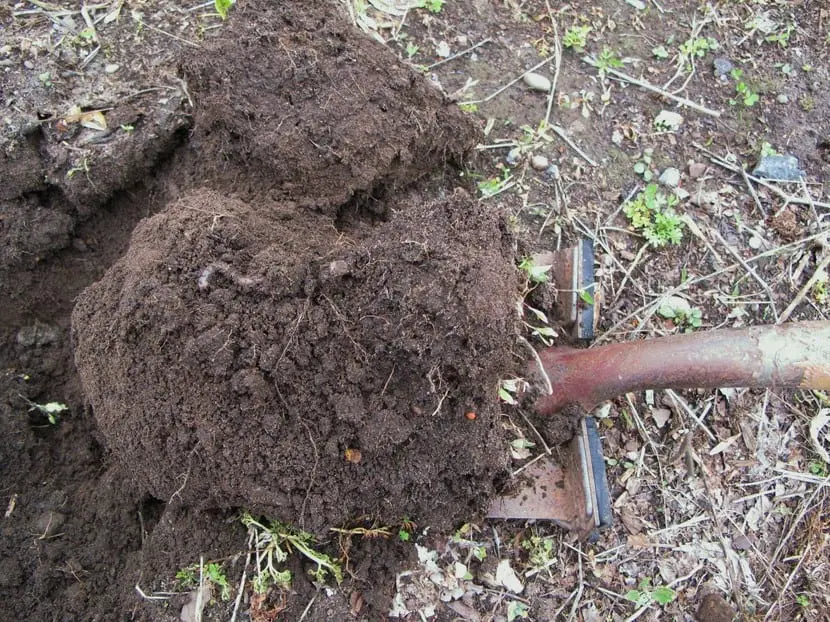 Systems to improve soil drainage