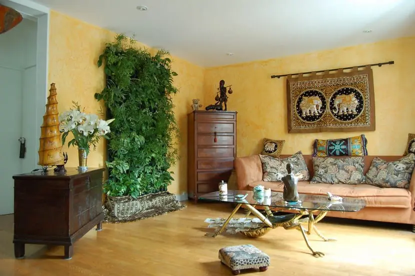 Plants to have in a Feng Shui home