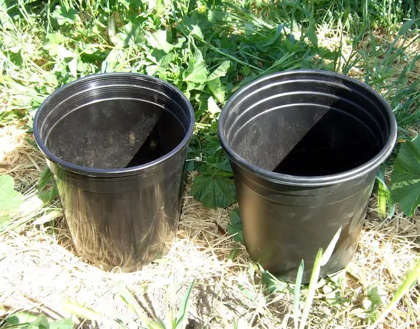 What is the maintenance of plastic pots?