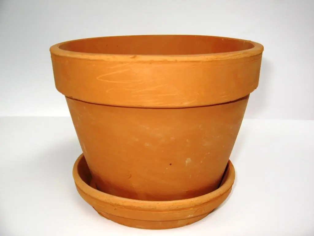 How to maintain clay pots