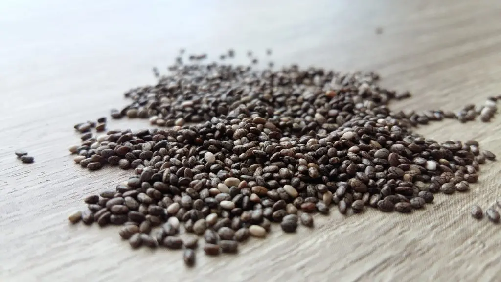 How to germinate seeds at home with recycled things?
