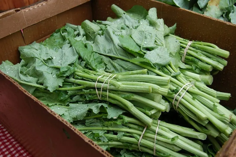 What are turnip greens?