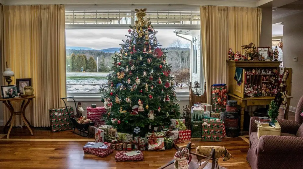 Everything you need to know about Christmas Trees