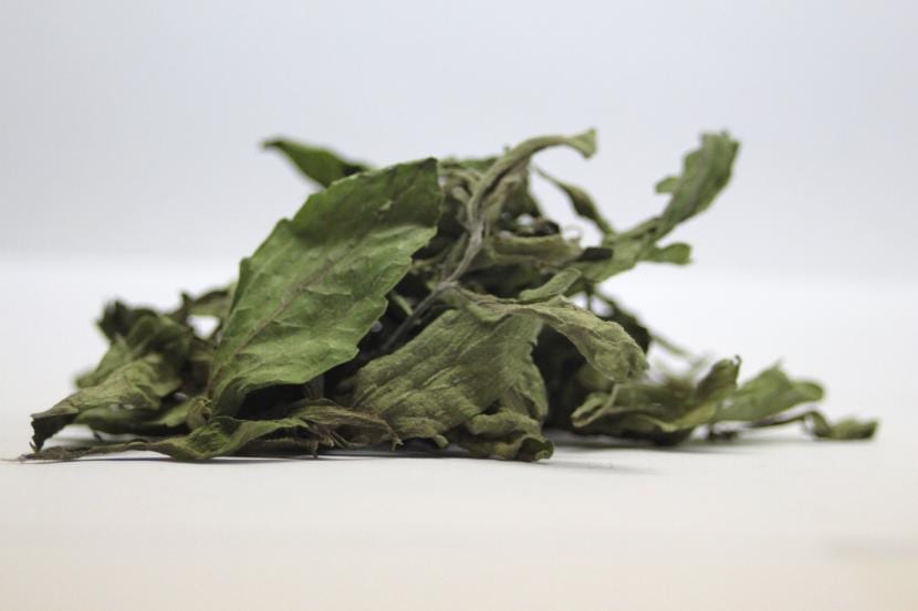 How To Dry Stevia Leaves