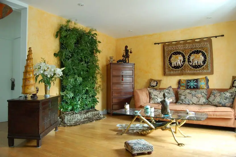 Purifying plants to have in a home Feng Shui