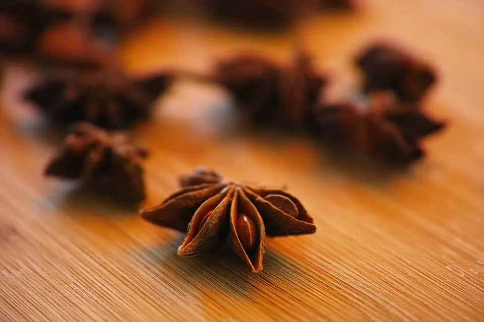 These are the characteristics, care and properties of anise seeds