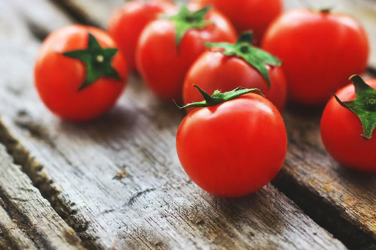 Tomato history: where does it come from, who brought it to Spain and curiosities