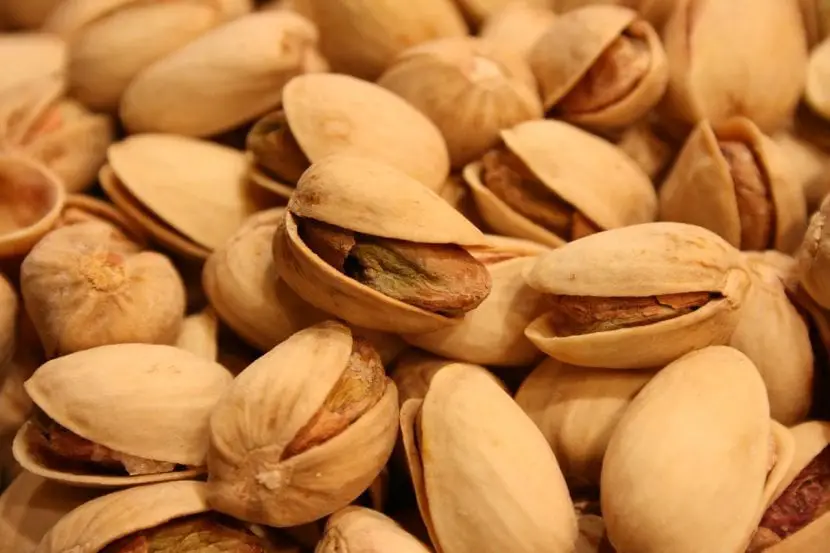 What is a nut and how is it grown?