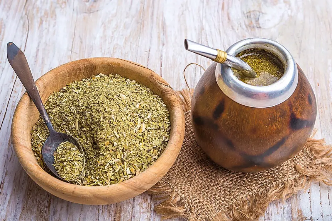 What is yerba mate: characteristics, uses and properties