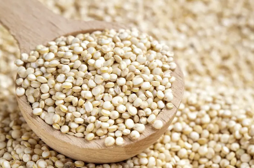 Characteristics, care and properties of Quinoa