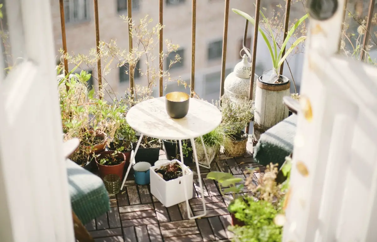 10 balcony plants for the whole year: sun and shade