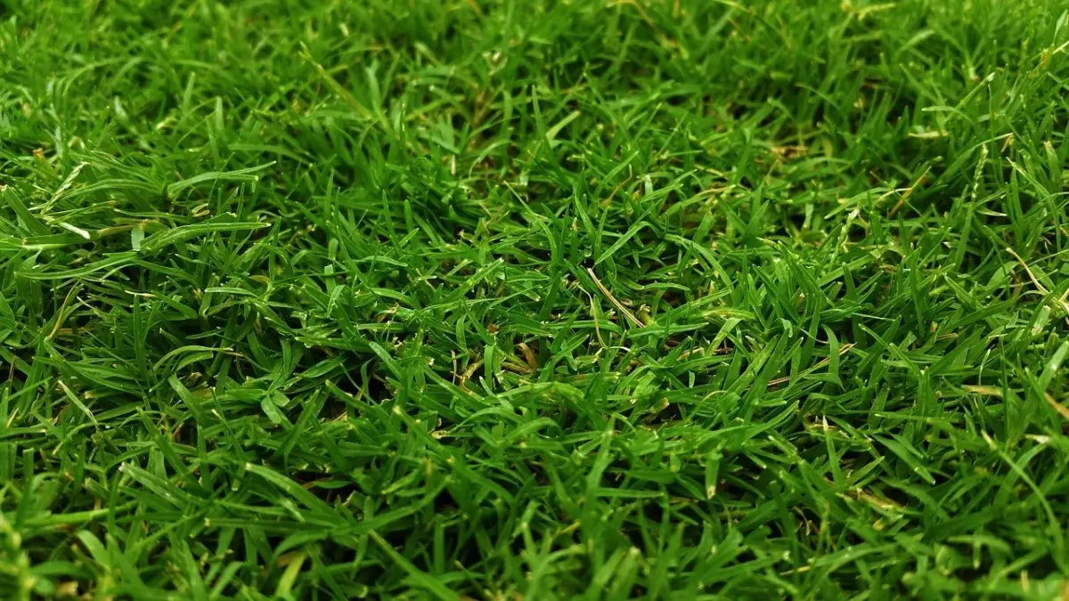 How to put artificial grass on land