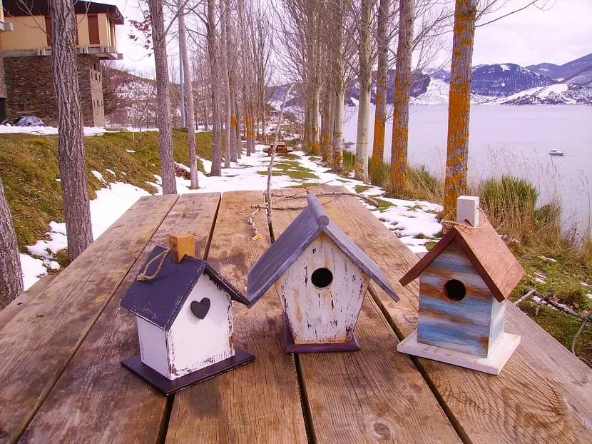 List with the 7 best houses a bird could wish for