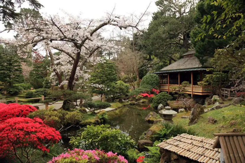 What is the Japanese garden like?
