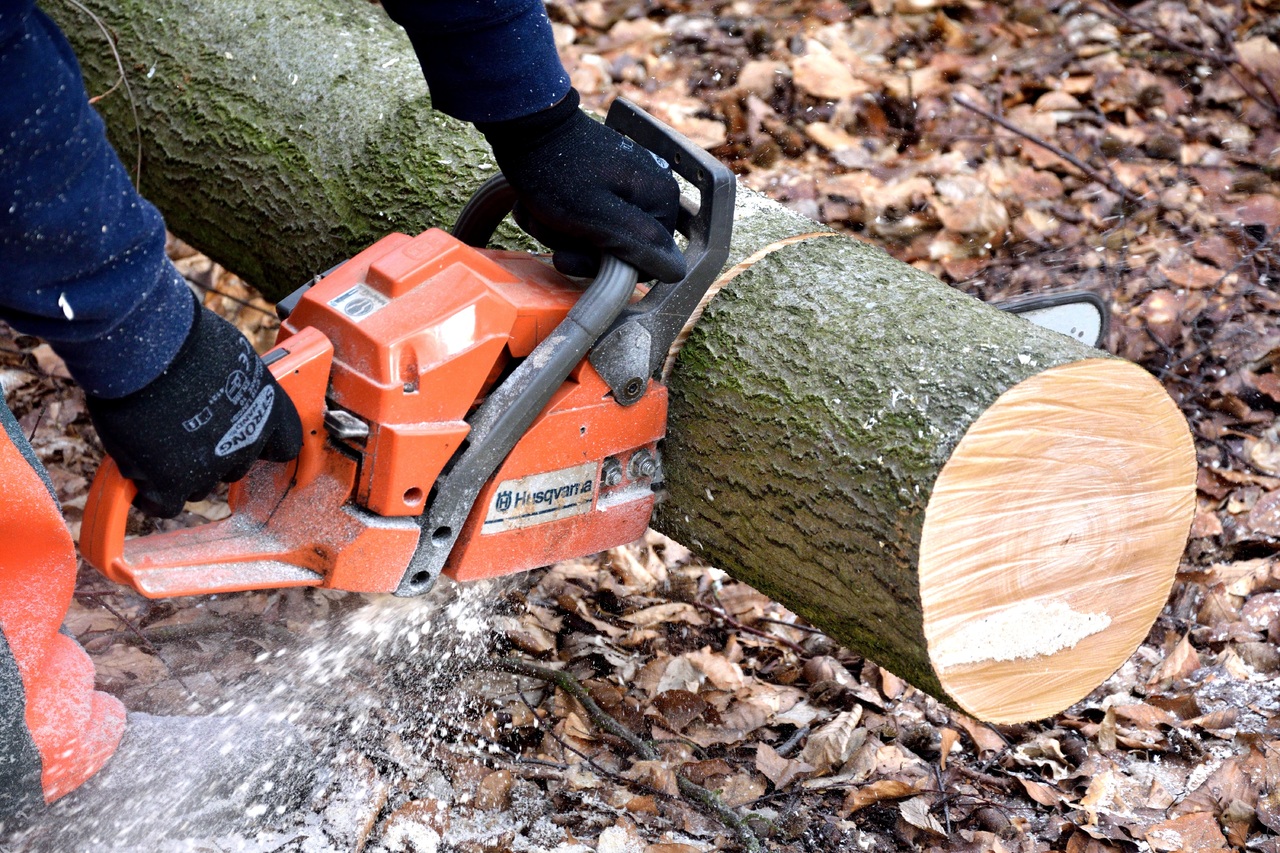 Chainsaw Buying Guide | Gardening On