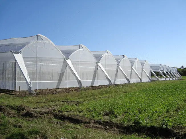 Climate Control in Greenhouses | Gardening On