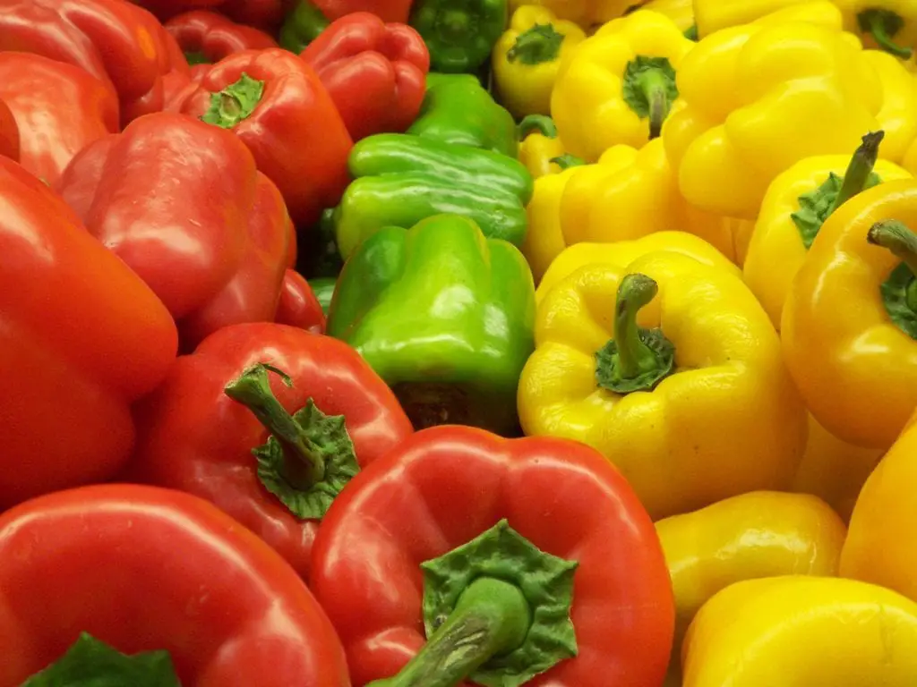 Bell pepper, benefits and properties