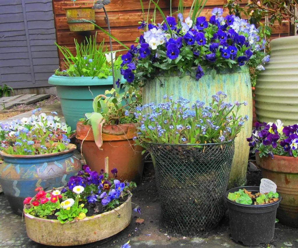 Original recycled pots | Gardening On