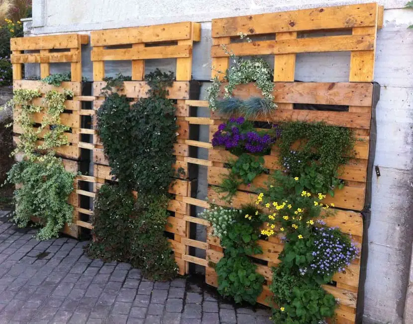 Pots made with recycled pallets