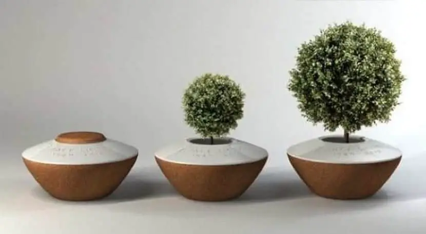 Ecological urns: the remains transformed into trees