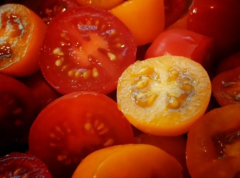 Sow a tomato slice, and see what happens in 10 days