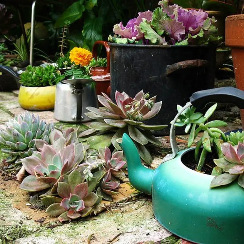 Original flower pots made with recycled objects