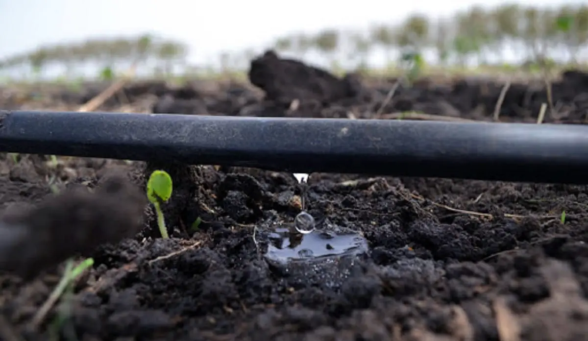 What types of drip irrigation systems are there?