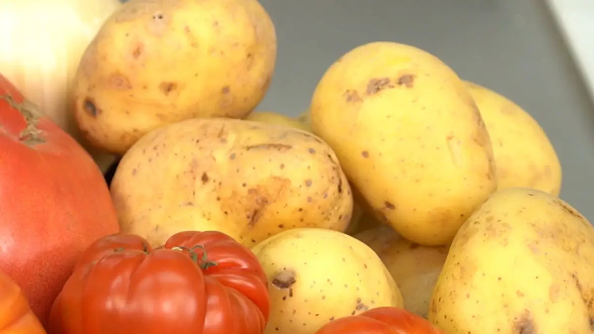 Meet the potato Monalisa: the so-called queen of potatoes