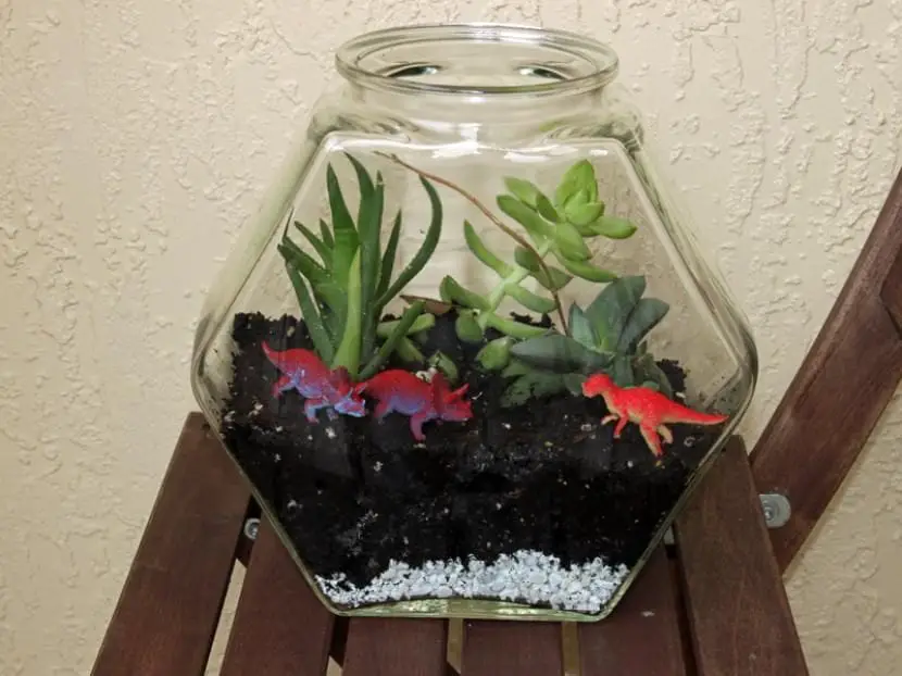 How to reuse a fish tank
