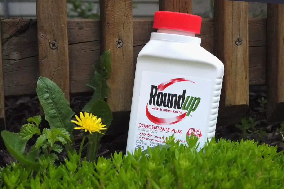 Roundup: characteristics, uses and environmental impact