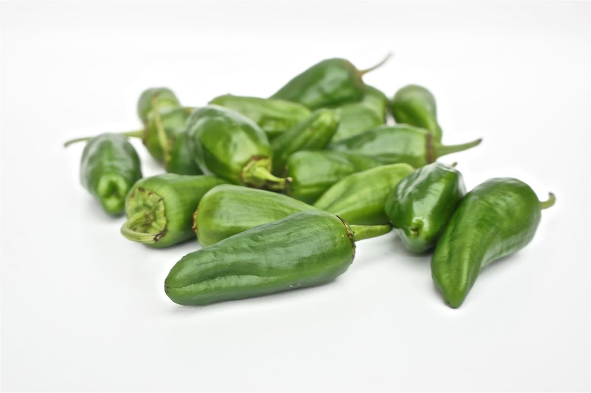 Padrón peppers: When to pick them and how to keep them
