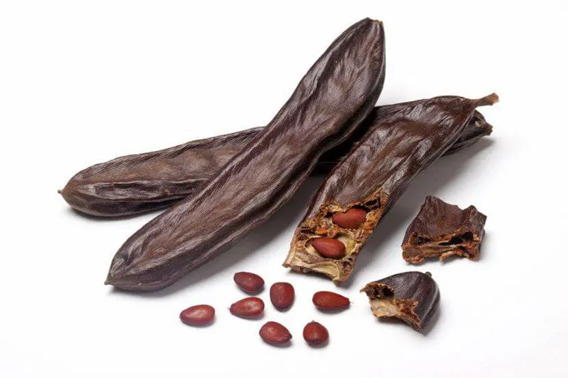 What types of carob are there?