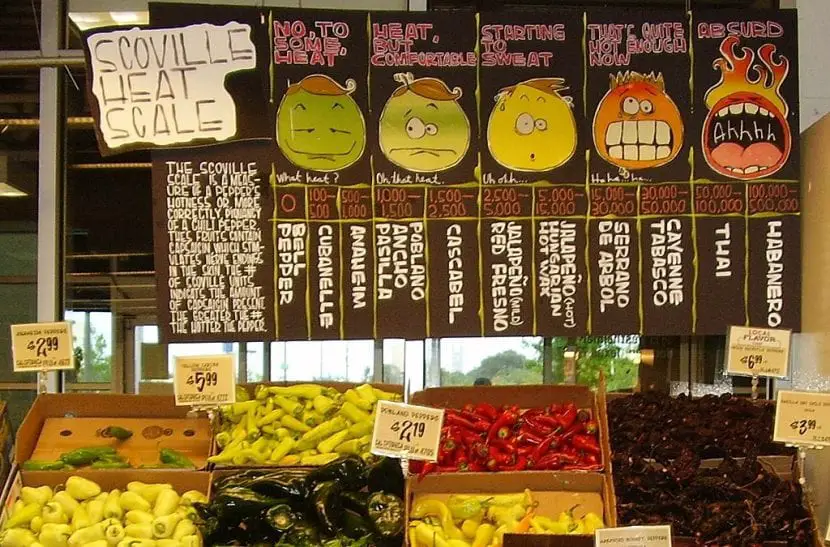 What is the Scoville Scale?
