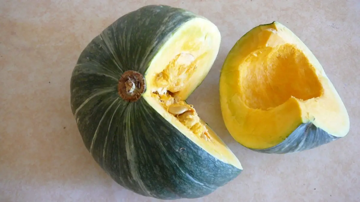 Is squash a fruit or a vegetable?
