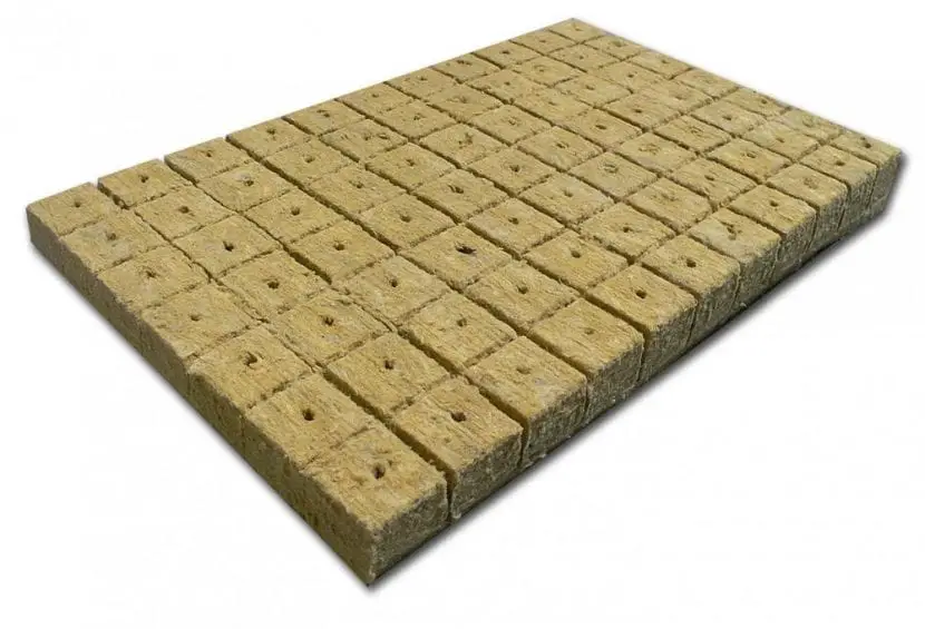 Rock wool, a very interesting ” substrate ” for plants