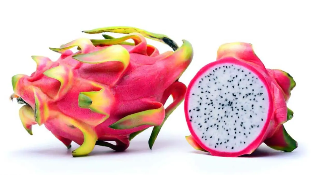 Pitaya cultivation: how to do it, harvest and benefits