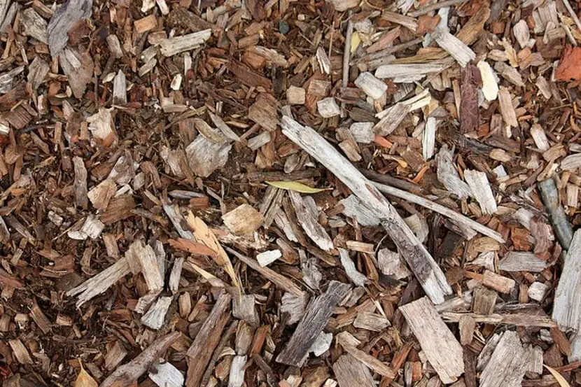 What is a mulch and what advantages does it have in gardening