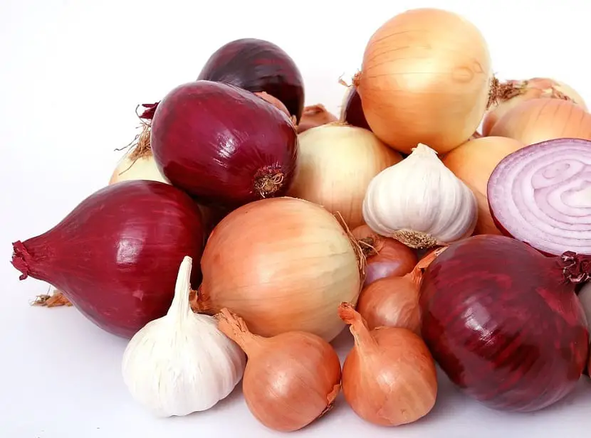 Did you know that there are different types of onions? Discover them!