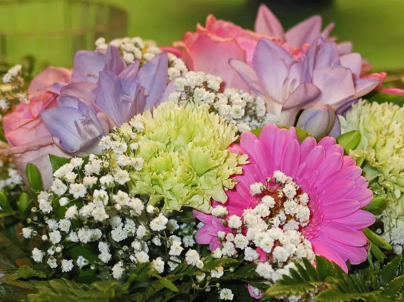 Flowers to give as a gift depending on the occasion