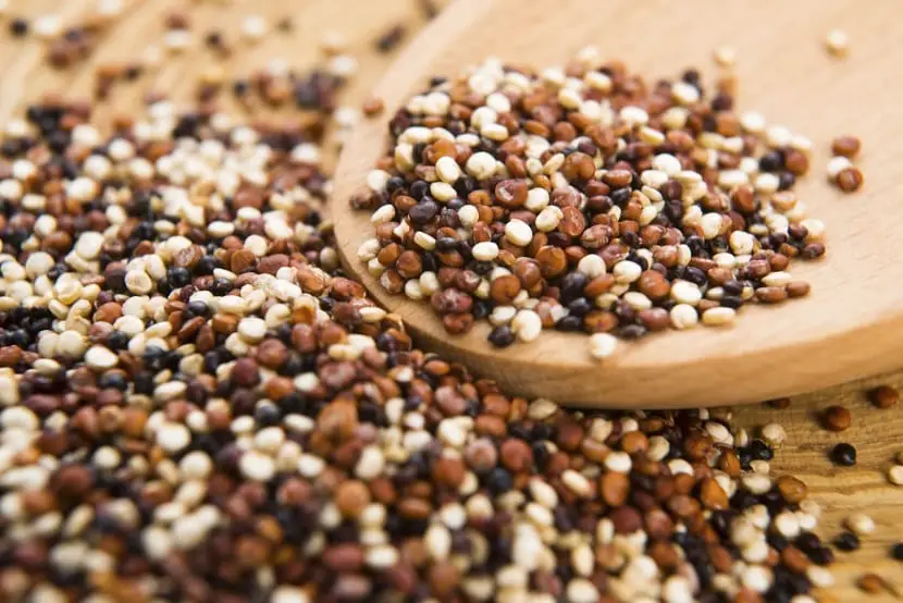 Learn how to grow and harvest quinoa