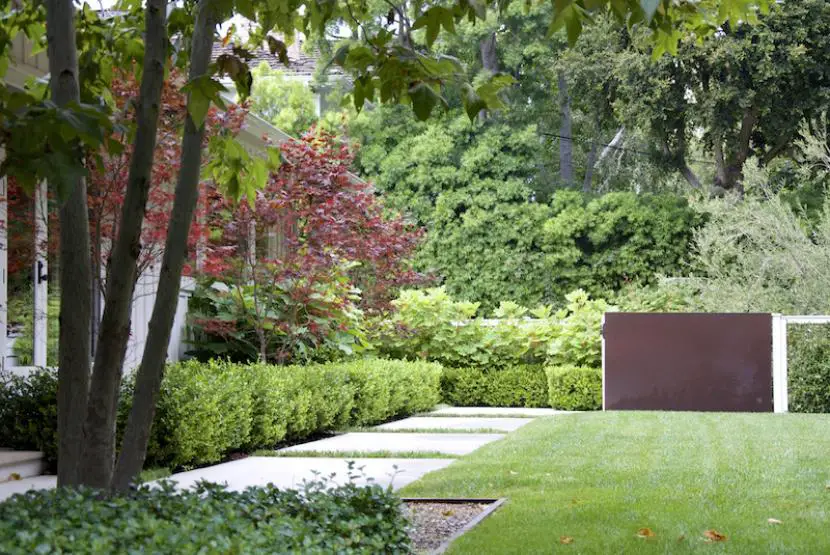 4 ideas to create privacy in the garden