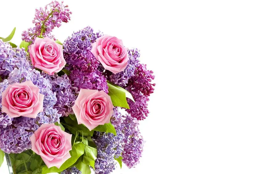 Bouquets of flowers and different types of bouquets that you can find