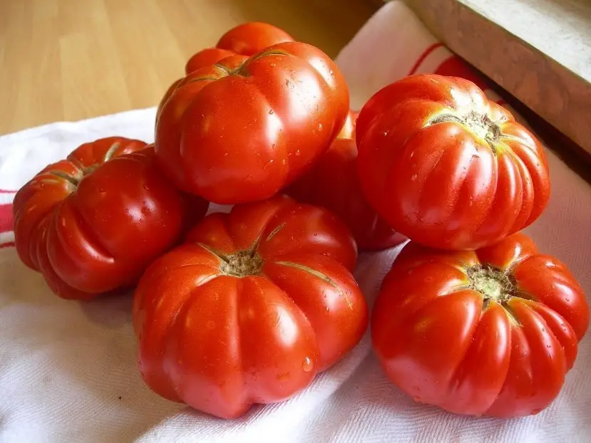 Characteristics, uses and cultivation of the marmande tomato