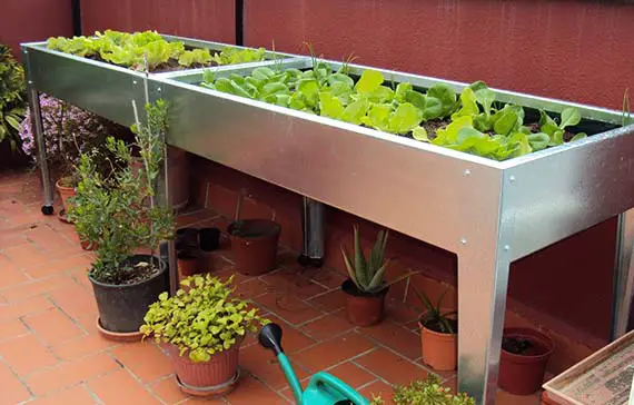Cultivation tables for the urban garden