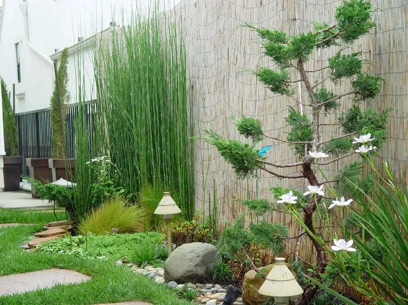 Design a zen garden | Gardening On
