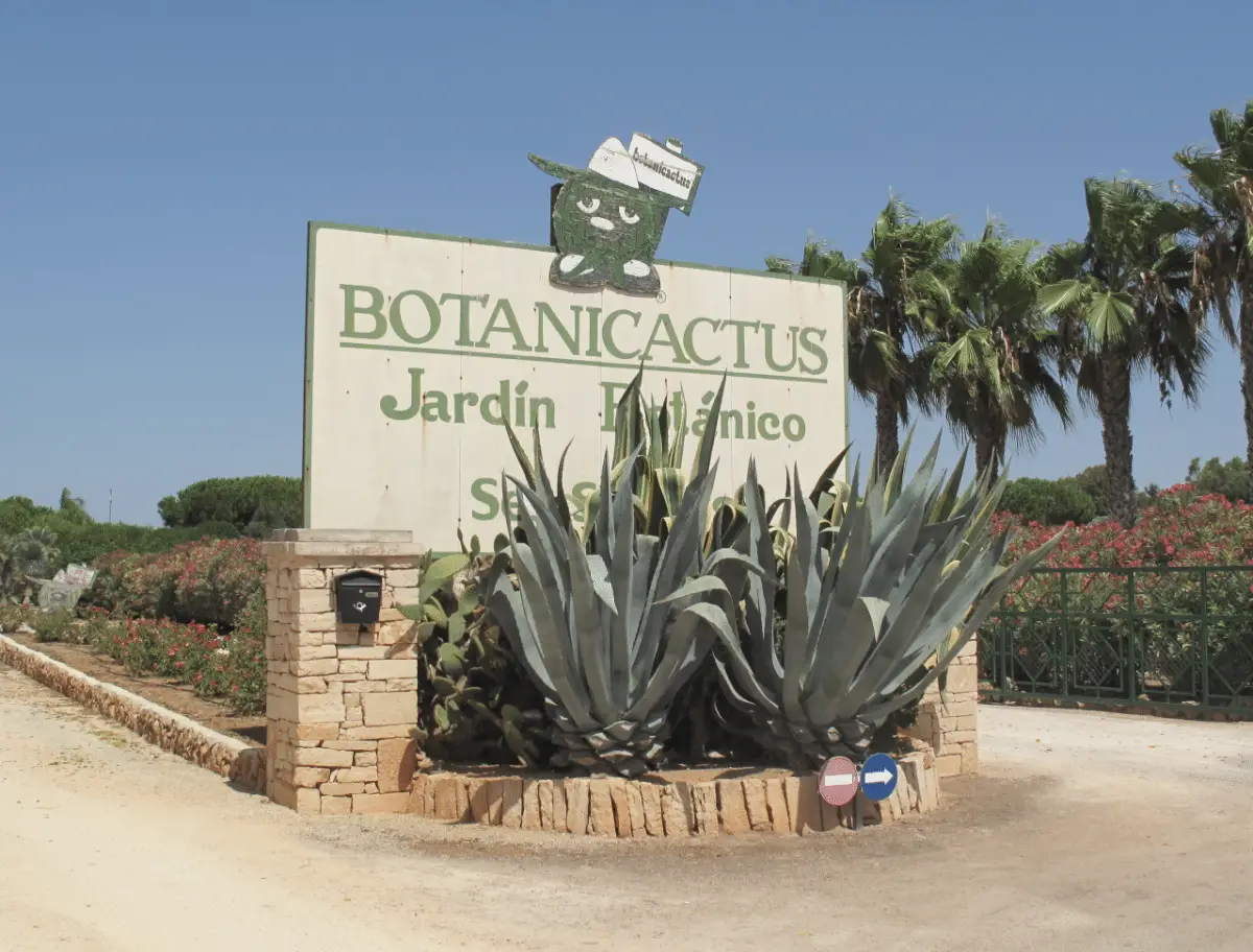 History, collections and more about the Botanicactus
