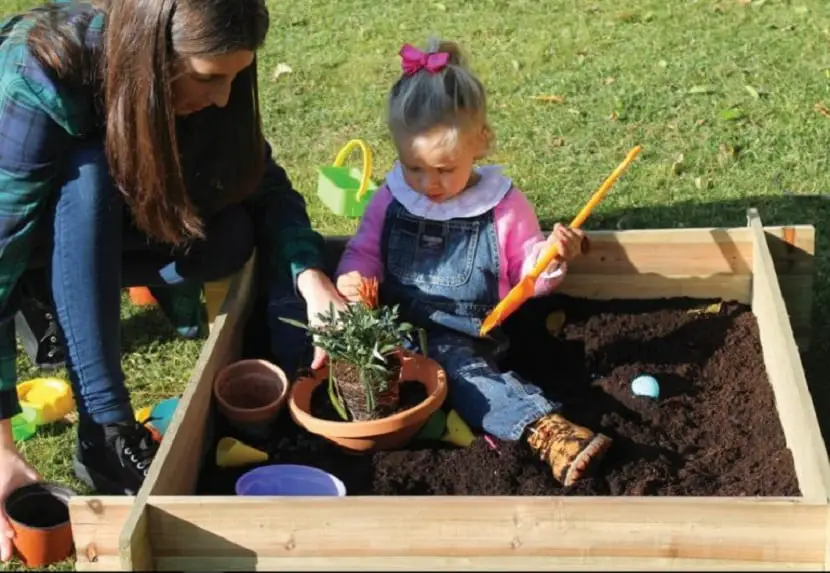 How to create a mini garden for children to play in