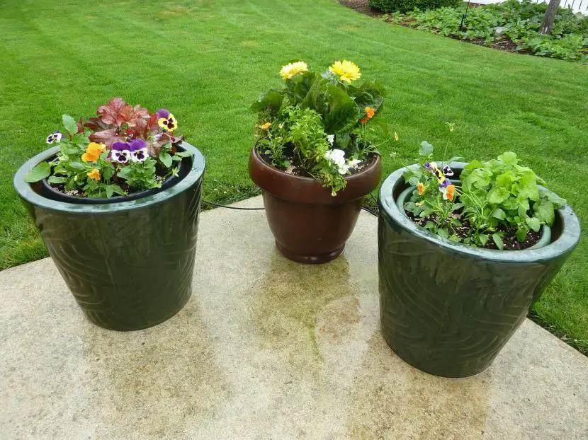 How to decorate the garden with pots