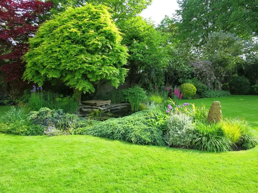 How to reform the garden